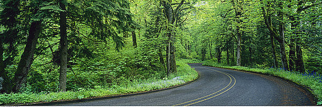 道路,瀑布山,俄勒冈,美国