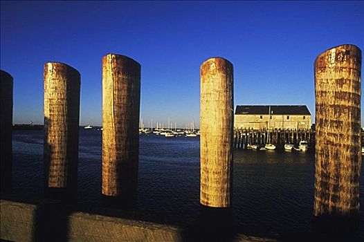 木质,柱子,河,科德角,马萨诸塞,美国