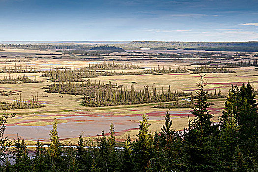 盐原,暸望,白天,使用,区域,伍德布法罗国家公园,加拿大西北地区,艾伯塔省,边界,加拿大