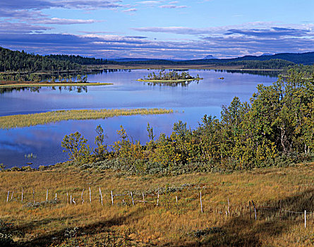 湖,靠近,奥普兰,挪威,斯堪的纳维亚,欧洲