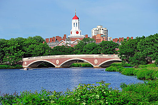 哈佛大学,校园,波士顿