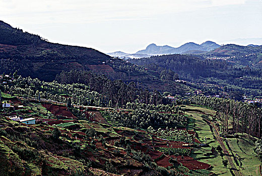 印度,泰米尔纳德邦,俯拍,山谷