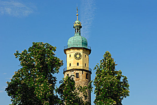 城堡,塔,遗址,图林根州,德国,欧洲