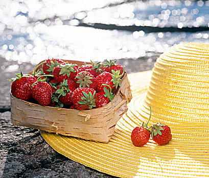 草莓,太阳,帽子