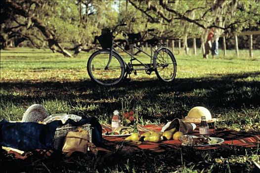 野餐,场景,果园,一前一后,自行车