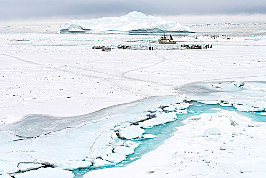 渔民,海冰,伊路利萨特,西格陵兰