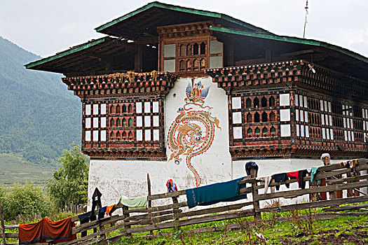 乡村,墙壁,装饰,龙,描绘,不丹