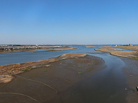 山东省日照市,两城河入海口水鸟云集,潮平滩阔成鸟儿乐园