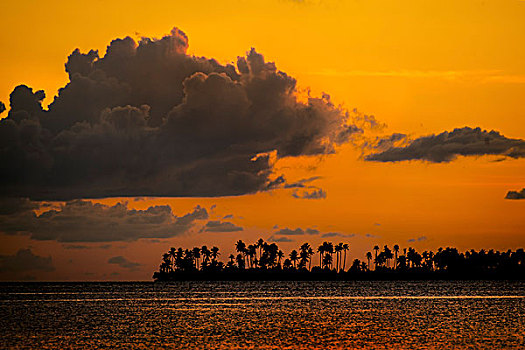 日落,岛屿,棕榈树,苏拉威西岛,印度尼西亚,亚洲