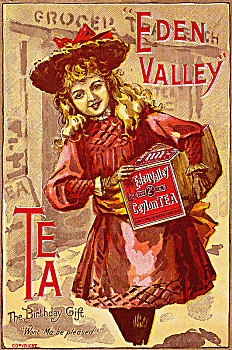 山谷,茶,19世纪,艺术家,未知
