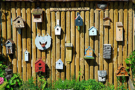 鸟舍,墙壁,荷兰南部,荷兰,欧洲