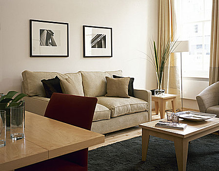 现代生活,区域,沙发,茶几,餐桌,椅子,晴朗,窗户