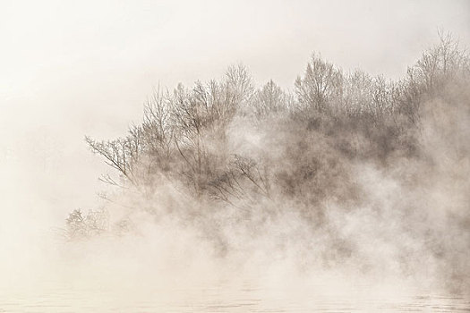 河,雾,冬天