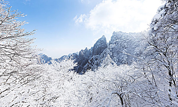 雪景,黄山,山,冬天