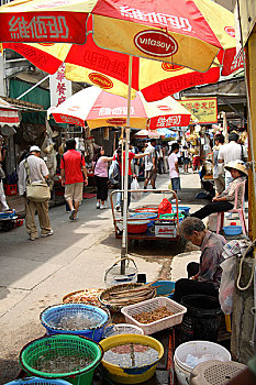 中国香港大屿山集贸市场