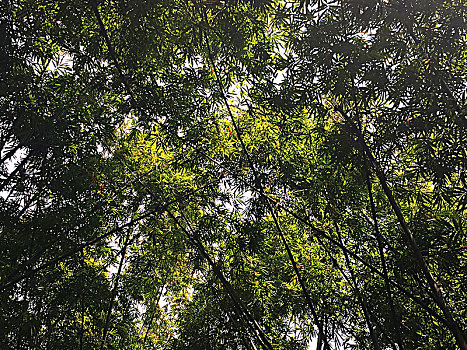 广州中医药大学