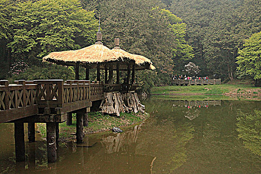 台湾阿里山姐妹亭