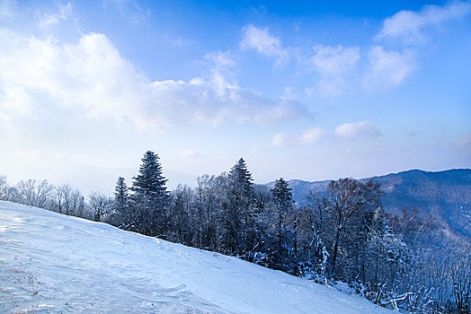 哈尔滨的雪景风光