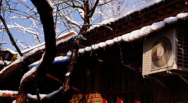 地坛公园雪景