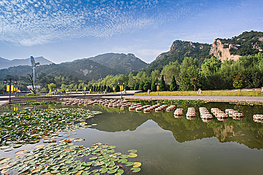 信阳罗山县灵山寺莲花池