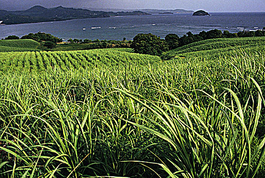 法国,西印度群岛,马提尼克岛,半岛