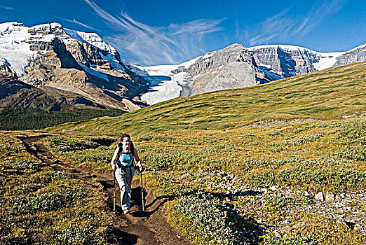 女人,远足,向上,阿萨巴斯卡冰川,哥伦比亚冰原,背景,碧玉国家公园,艾伯塔省,加拿大