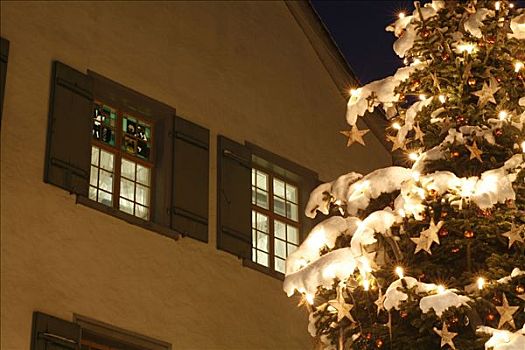 白色,圣诞节,圣诞树,市政厅,历史,中心,吐根堡,瑞士,欧洲