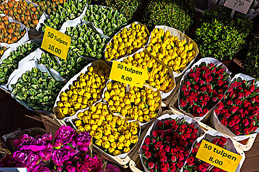 特写,彩色,花束,出售,花市,阿姆斯特丹,荷兰