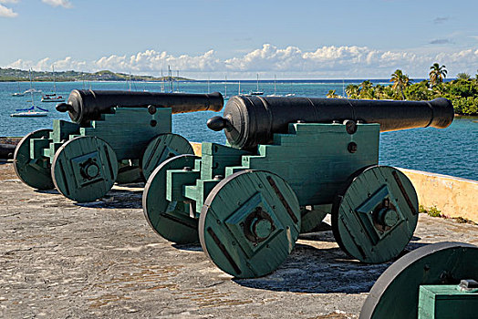 历史,大炮,堡垒,岛屿,维京群岛,美国