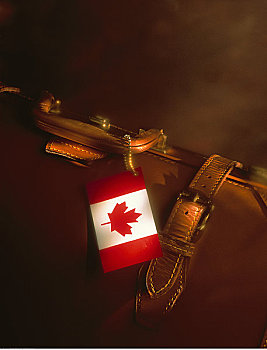 手提箱,加拿大国旗