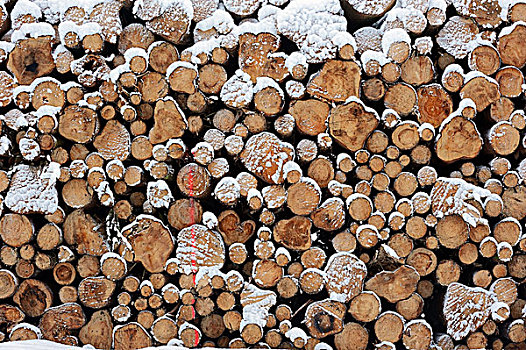 一堆,木头,冬天,北莱茵威斯特伐利亚,德国,欧洲