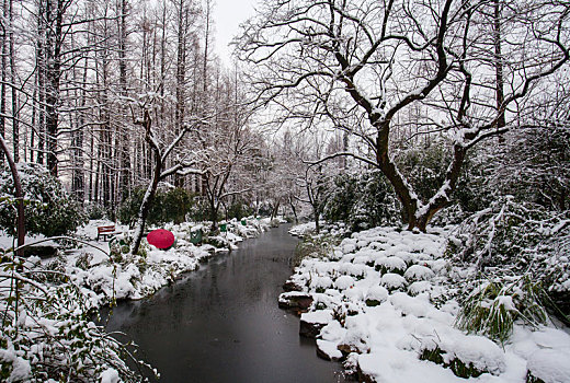 雪后岳湖边