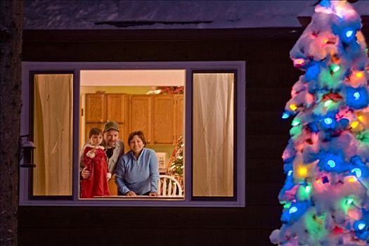 家庭,凝视,室外,照亮,家,圣诞树,装饰,院子,阿拉斯加