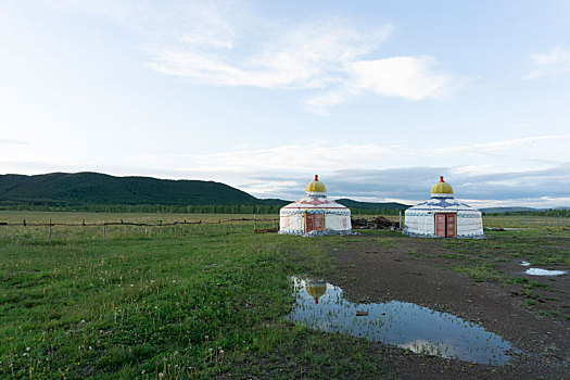 草原上的两个白色蒙古包