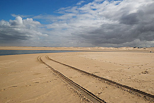 轨迹,沙子,海滩,沙丘,靠近,科尔切斯特,南非,非洲