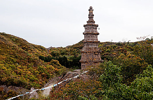 宣化柏林寺秋色