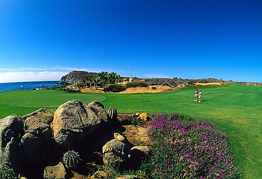 打高尔夫,站立,高尔夫球场,卡波圣卢卡斯,北下加利福尼亚州,墨西哥