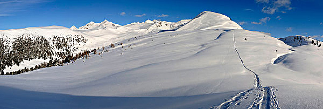 冬天,风景,阿尔卑斯山,南蒂罗尔,意大利