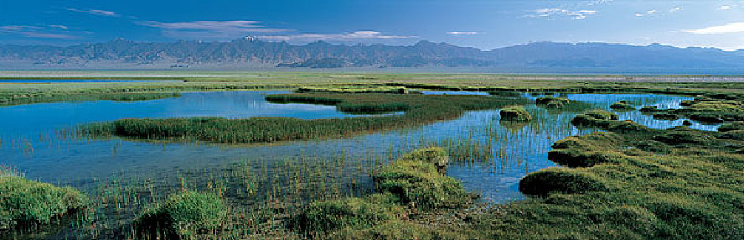 湿地,山,新疆