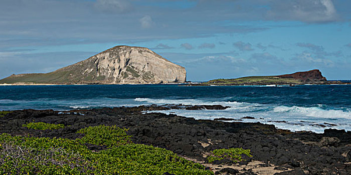 岩石构造,海岸,檀香山,瓦胡岛,夏威夷,美国