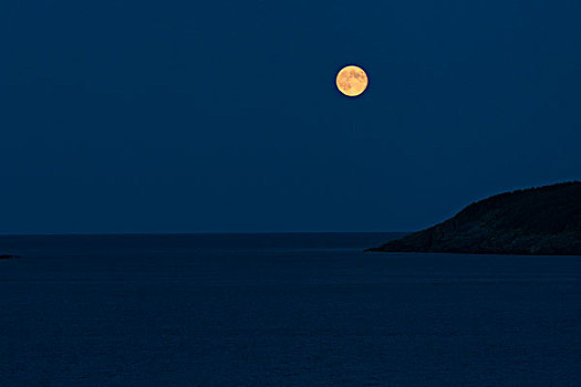 满月,上方,海洋,夜晚,纽芬兰,拉布拉多犬,加拿大