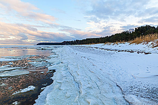 冬天,海边风景,冰,雪,海滩,海湾,芬兰,波罗的海,俄罗斯