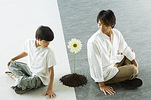 男孩,男人,坐,背对背,看,俯视,肩部,一朵花