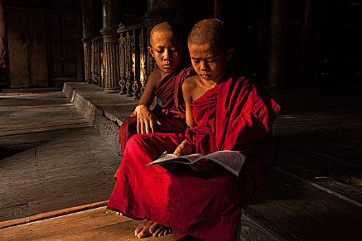 缅甸,曼德勒,新信徒,僧侣,读,画廊