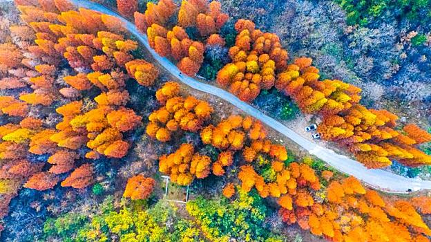 中国青岛崂山秋色