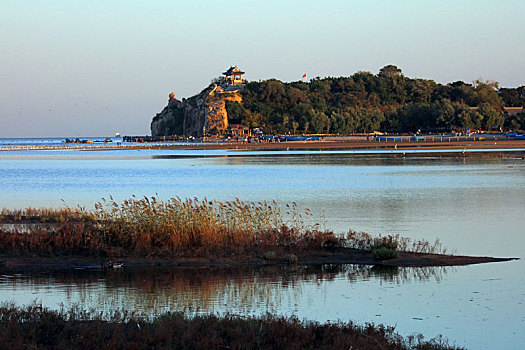 湿地风光,秦皇岛,北戴河,海边,鸟类保护,和谐,潮汐,建筑,大海,河流