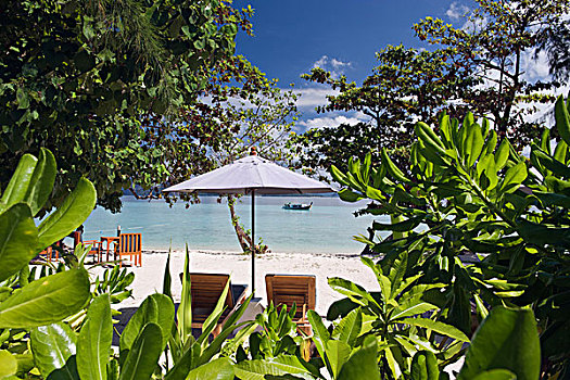 沙滩椅,伞,沙滩,苏梅岛,泰国,东南亚,亚洲