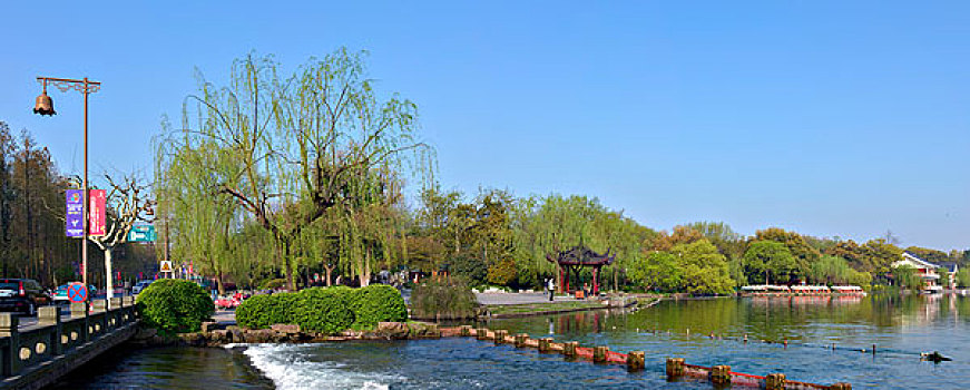 西湖十景,花港观鱼