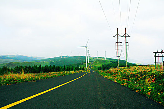 草原山柏油路松树林