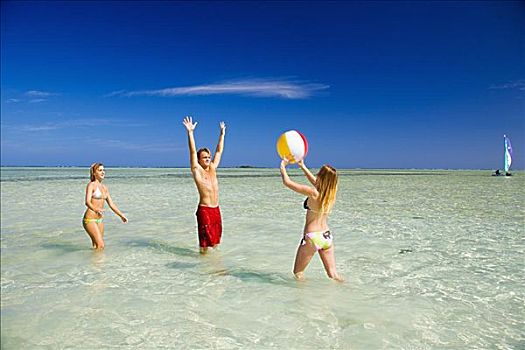夏威夷,瓦胡岛,卡内奥赫,年轻人,玩,水皮球,水晶,清水,沙洲,岛屿
